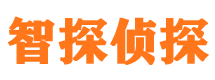 额敏外遇调查取证